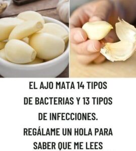 El Ajo Un Antibiótico Natural para Combatir Bacterias e Infecciones