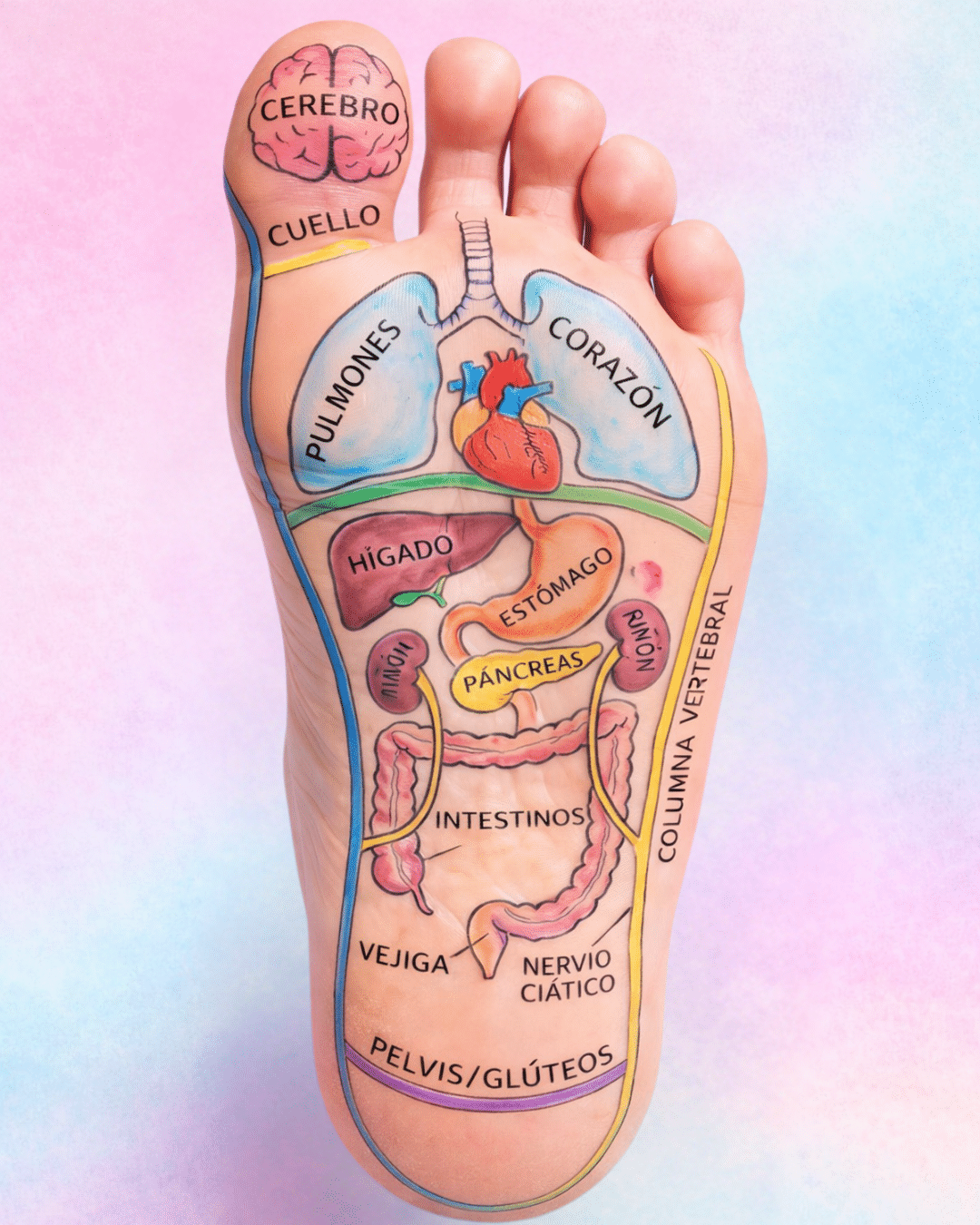 Por qué masajear las plantas de los pies con aceite antes de dormir