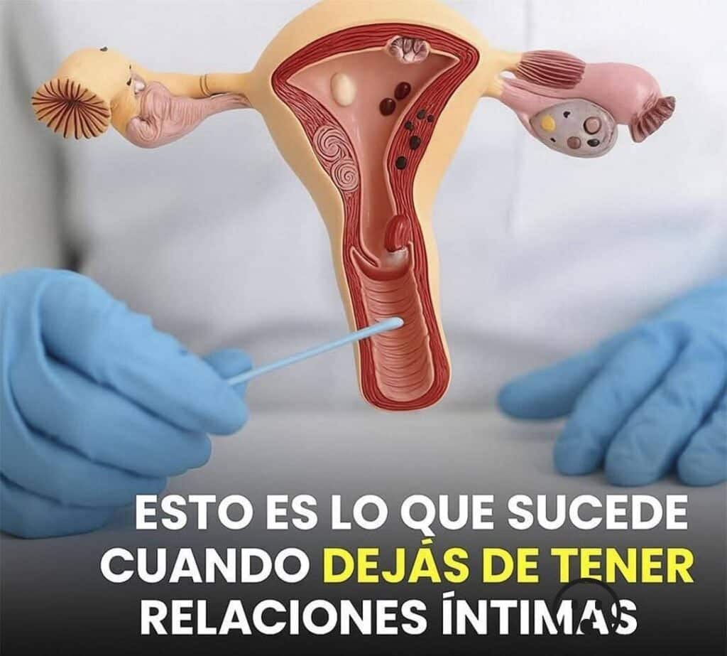 Esto es lo que le sucede a tu organismo: guía de salud