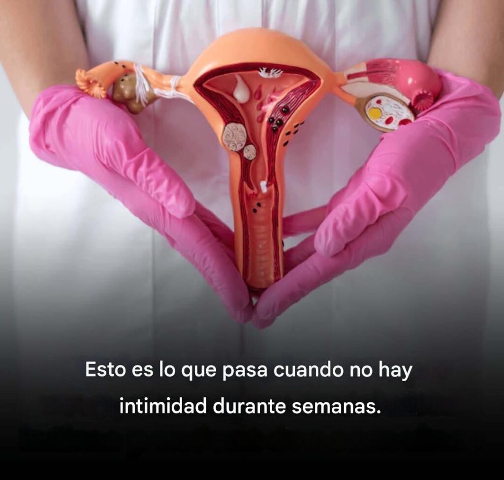 Esto es lo que sucede después de varias semanas sin tener relaciones sexuales