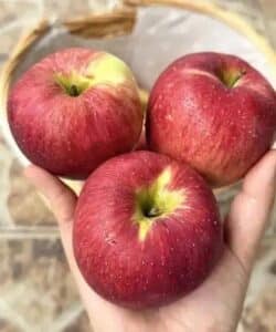 Médicos revelan que comer una manzana cada noche provoca vitalidad