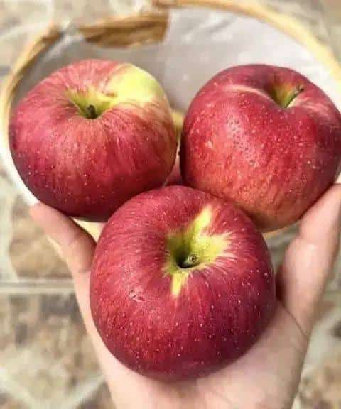 Médicos revelan que comer una manzana cada noche provoca vitalidad