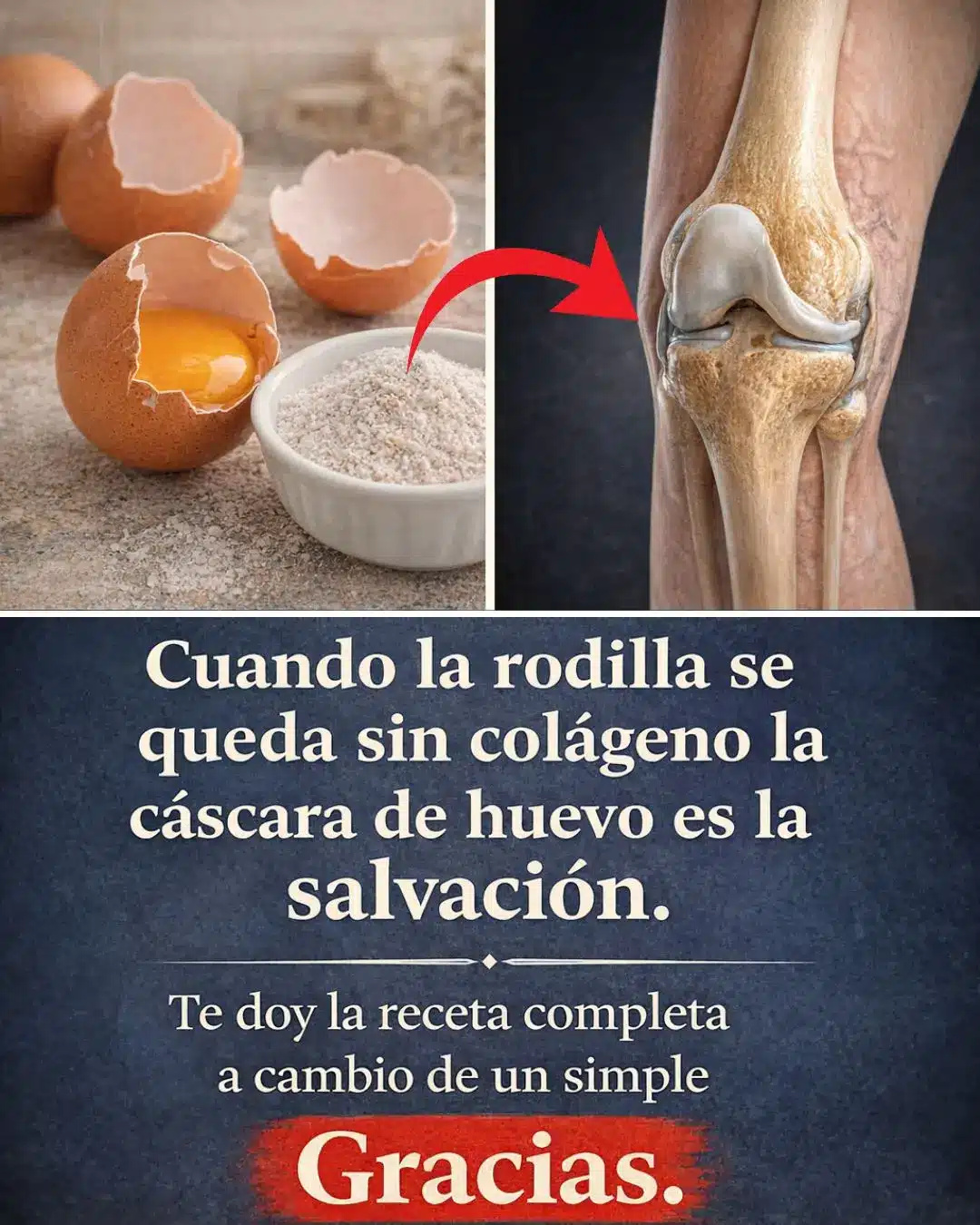 Cáscara de huevo calcio natural y huesos fuertes