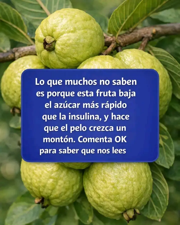 Guayaba recetas y beneficios para controlar la diabetes