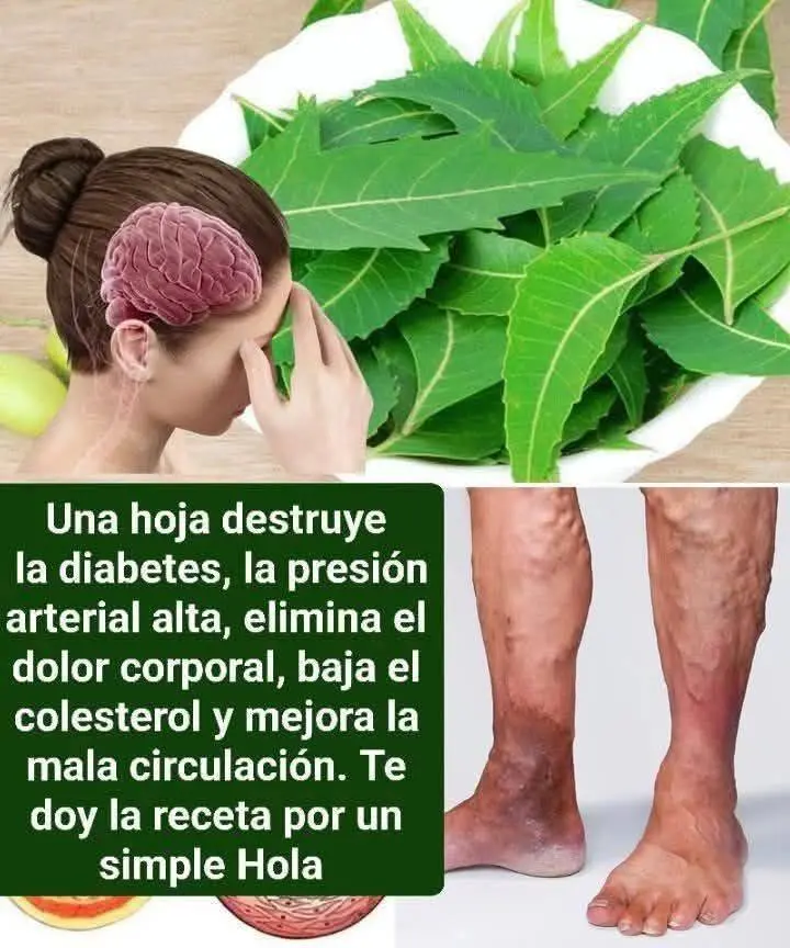 Remedios caseros con hojas de neem