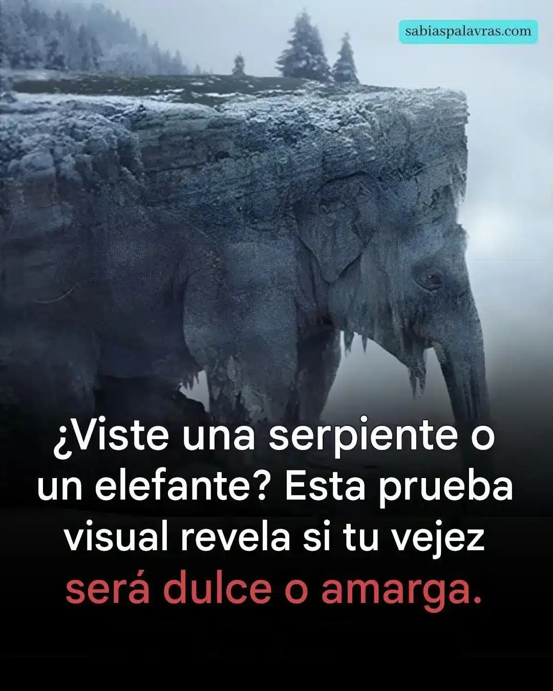 Serpiente o elefante predice tu vejez