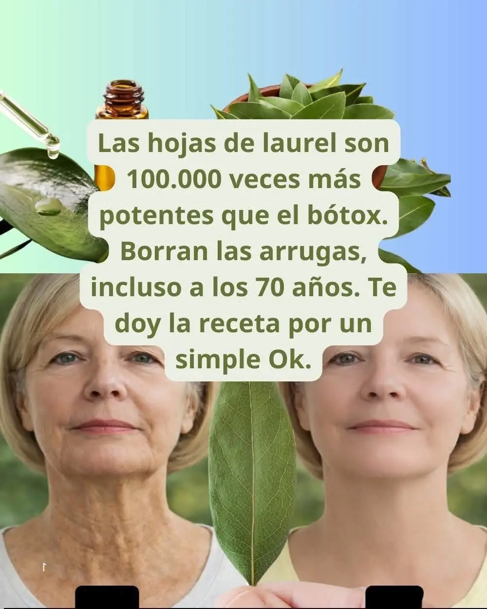 Tónico de Laurel antiedad beneficios y receta casera