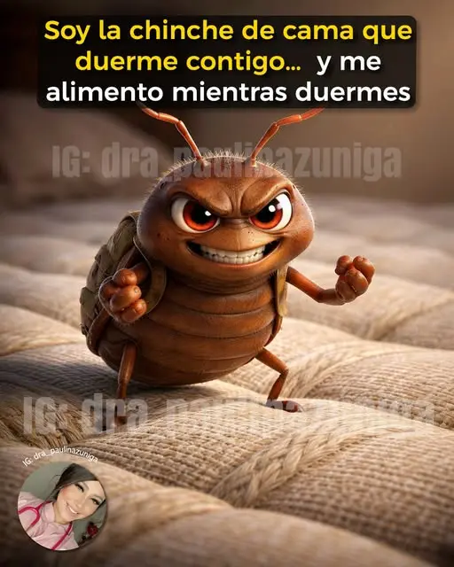 Señales picaduras y cómo eliminar chinches de cama