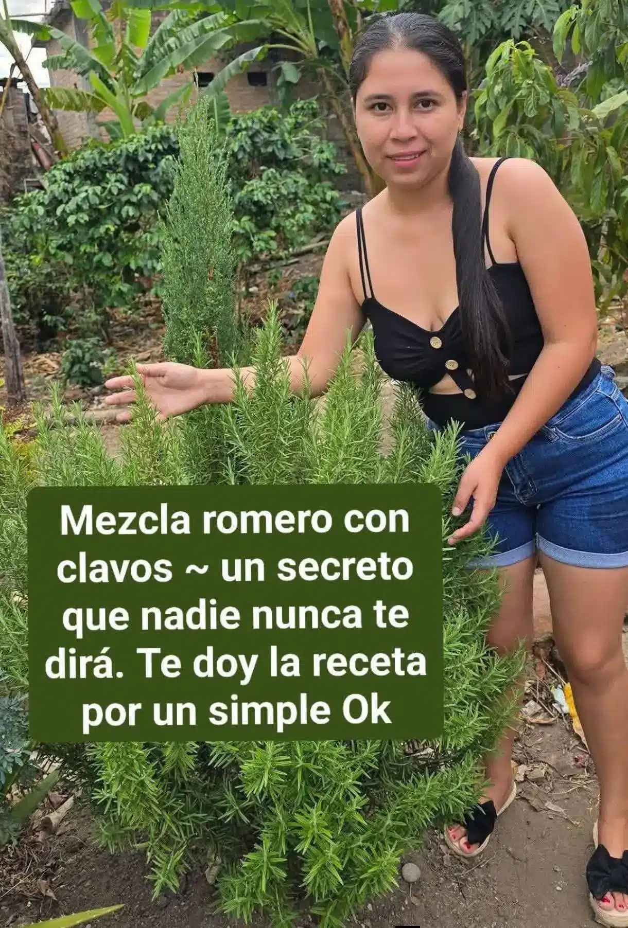 Té de romero receta que cambia tu vida