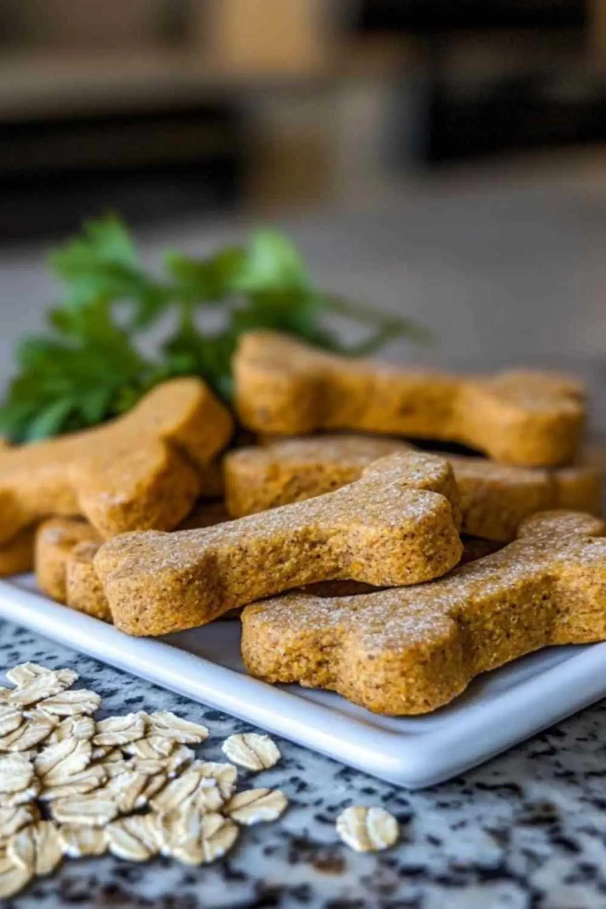 friandises maison pour chiens